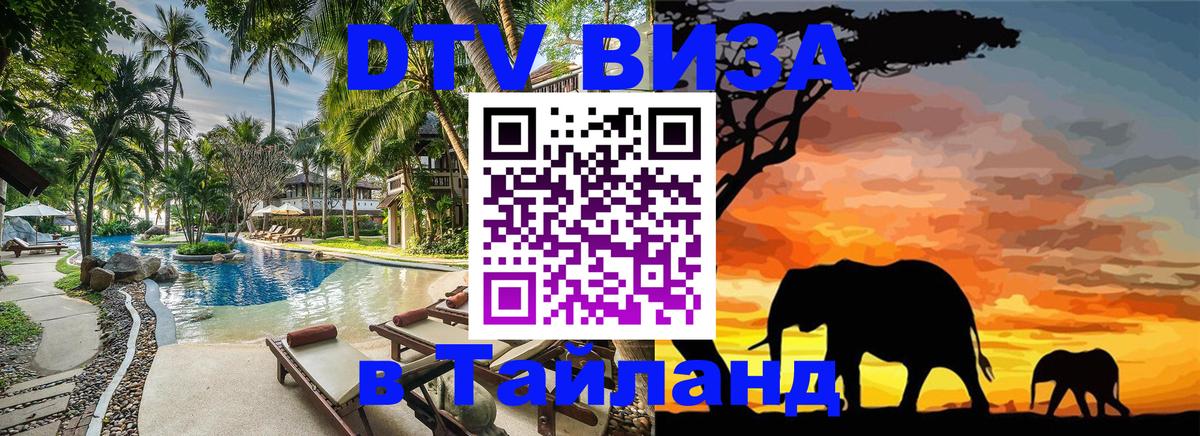 Оформление DTV визы под ключ: стоимость и тарифы, только загранпаспорт - Новосибирск  21.11.2025 